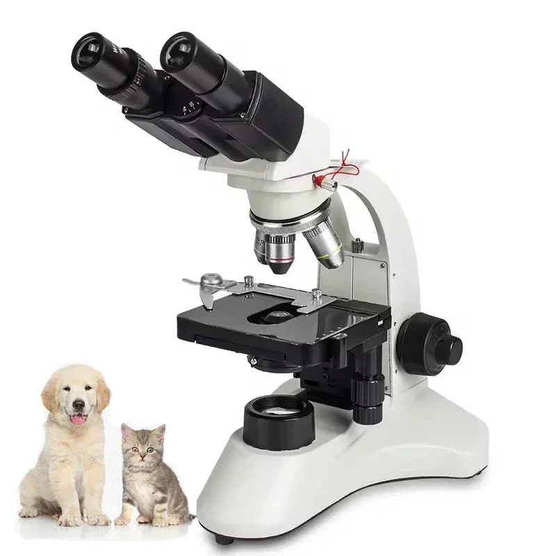 Medical Lab For Sale - Excellent Best Seller First Hot Sales