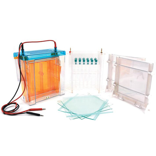 New Style Hot Sale Common Test - Medical Lab For Sale review and price