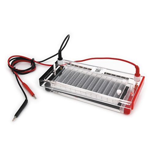 New Style Hot Sale Common Test - Medical Lab For Sale review and price
