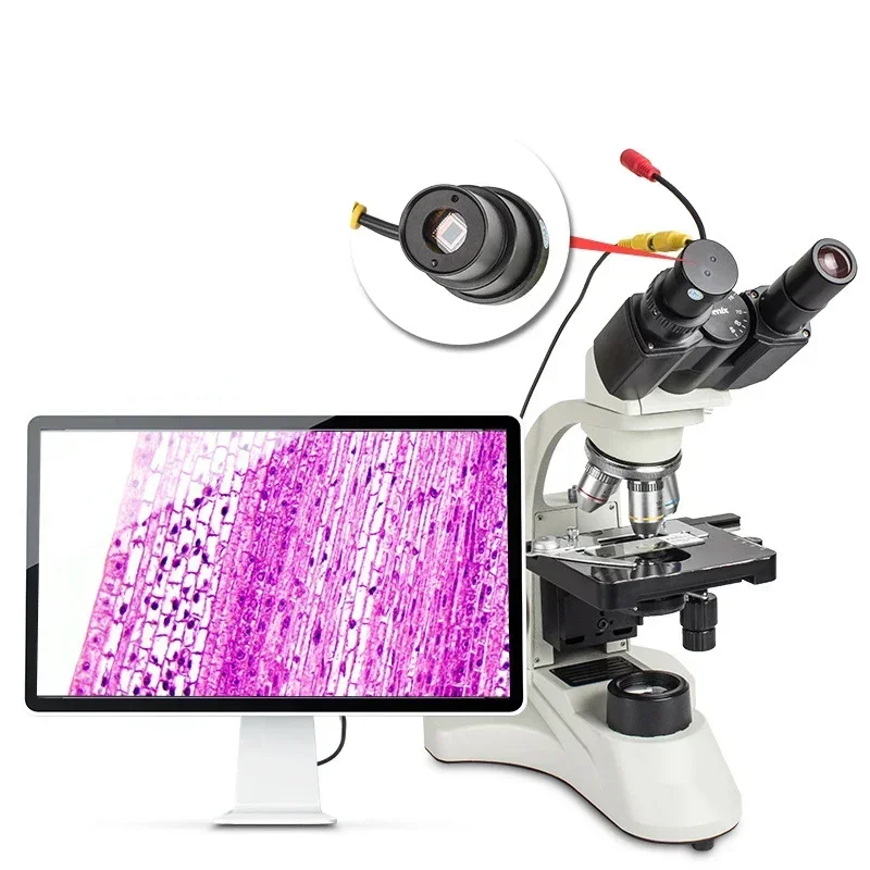 Excellent Best Seller First Ho - Medical Lab For Sale review and price