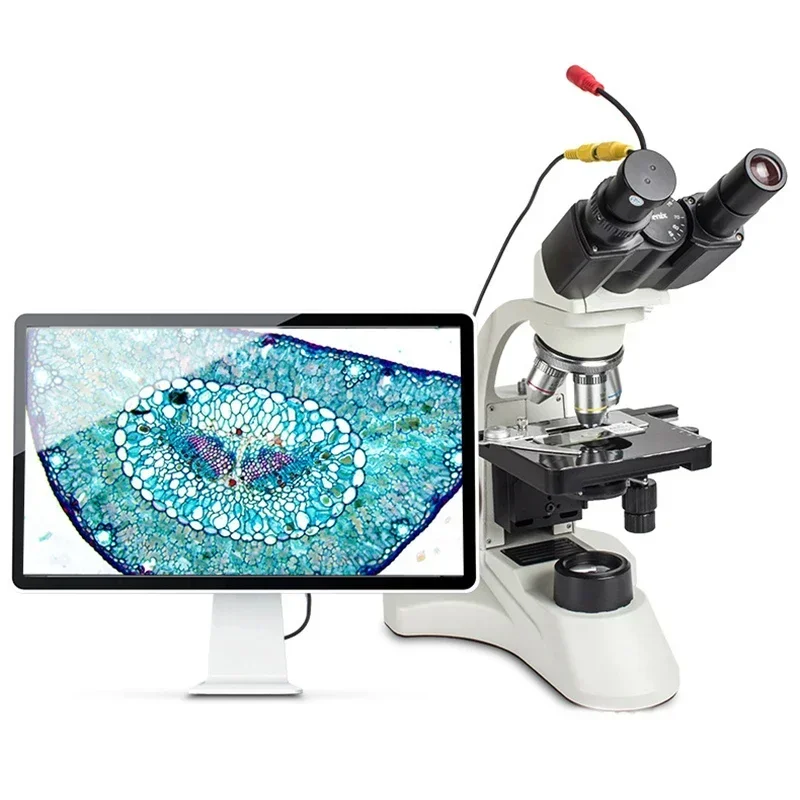 Excellent Best Seller First Ho - Medical Lab For Sale review and price